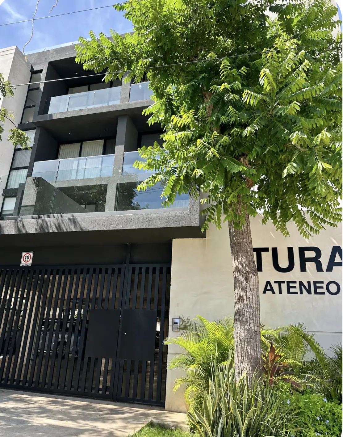 Tura Ateneo, Mérida 2